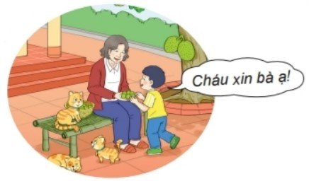 Bài 5 trang 45 Toán lớp 2 tập 1 SGK Kết nối tri thức với cuộc sống