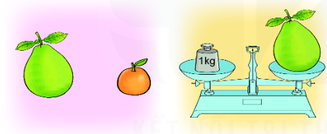 Bài 2 trang 67 Toán lớp 2