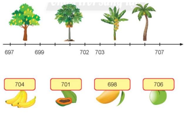 Bài 5 (trang 56 SGK Toán 2 tập 2)