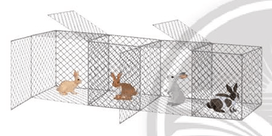 Toán 4 tập 1 trang 36 Chân trời sáng tạo | Giải Toán lớp 4