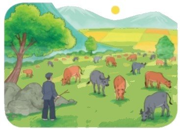 Bài 5 trang 21 Toán lớp 2 tập 1 SGK Kết nối tri thức với cuộc sống