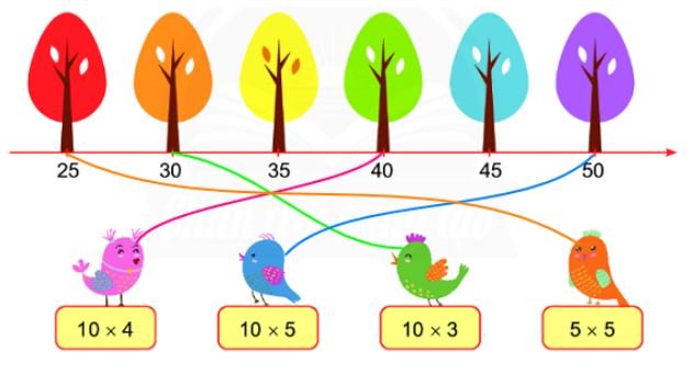 Bài 5 (trang 11 SGK Toán 2 tập 2)