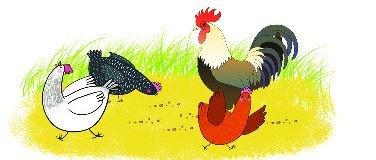 Bài 3 trang 72 Toán lớp 2 tập 1 Chân trời sáng tạo