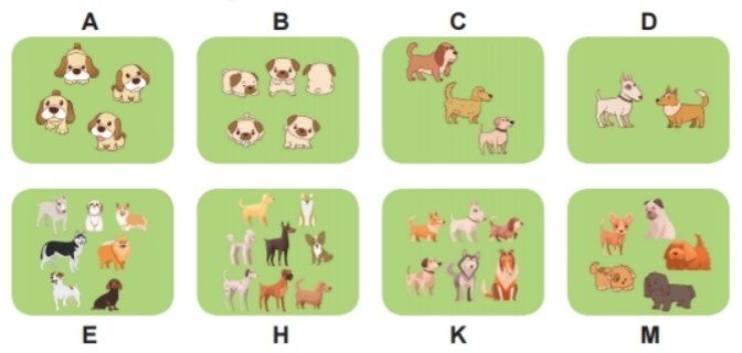 Bài 4 trang 39 Toán lớp 2 tập 1 SGK Chân trời sáng tạo