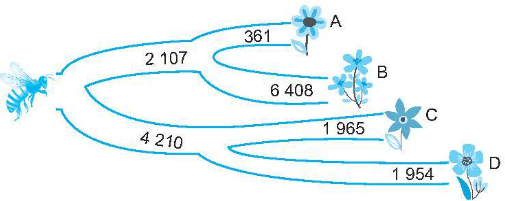 toán 4 tập 1 kết nối tri thức