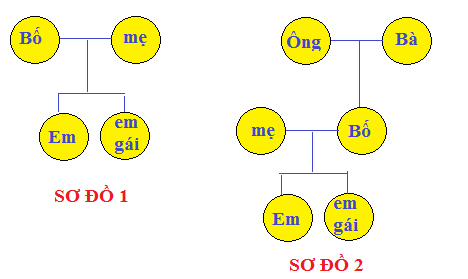 Tự nhiên xã hội 2