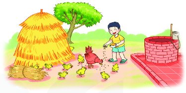 Bài 3 (trang 22 SGK Toán 2 tập 2) KTNN