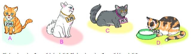 Bài 2 (trang 60 SGK Toán 2 tập 2)