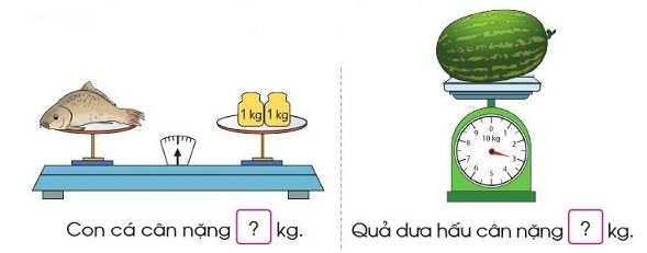 Bài 1 trang 76 SGK Toán lớp 2 Tập 1 Cánh Diều