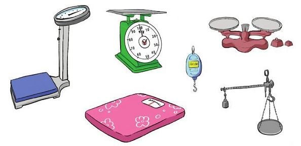 Bài 5 trang 77 SGK Toán lớp 2 Tập 1 Cánh Diều