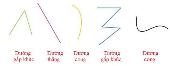 Bài 1 trang 98 SGK Toán lớp 2 tập 1 Cánh Diều