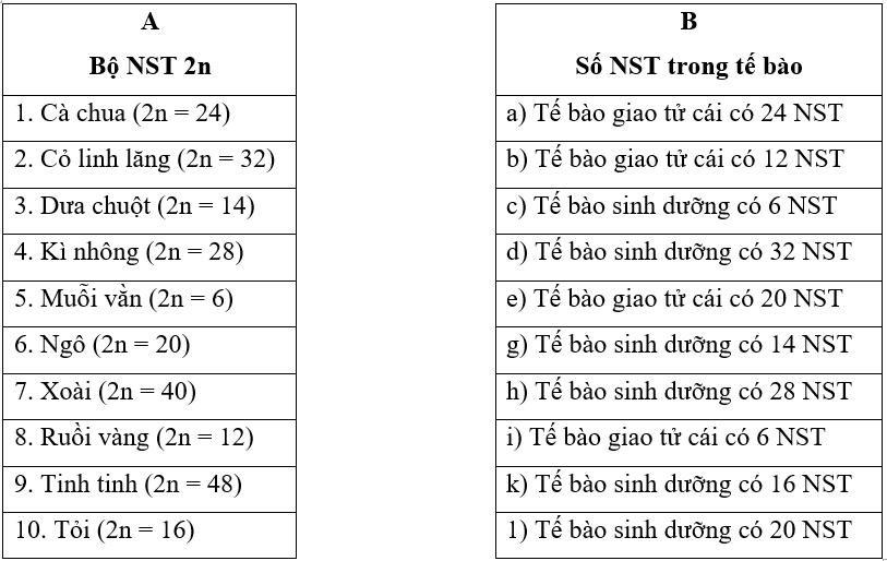 Bài tập khoa học tự nhiên 9 bài 42
