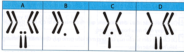 Bài tập khoa học tự nhiên 9 bài 42