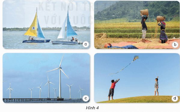 khoa học lớp 5 bài 11