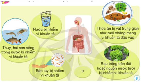  Bài 12: Vi khuẩn và vi khuẩn gây bệnh ở người