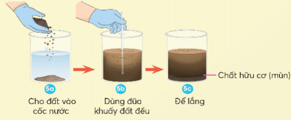 Bài 1: Thành phần và vai trò của đất