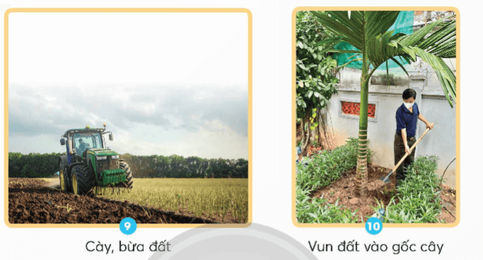 Bài 1: Thành phần và vai trò của đất