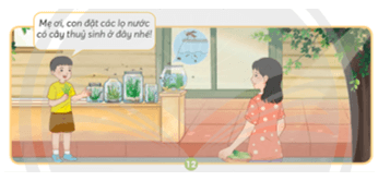  Bài 16: Sự lớn lên và phát triển của động vật