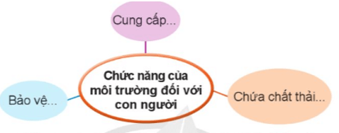 Bài 19: Chức năng của môi trường đối với sinh vật