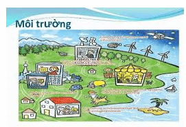 Bài 28: Chức năng của môi trường