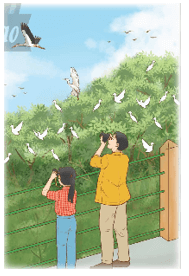 Toán lớp 5 Chân trời sáng tạo Bài 2: Ôn tập phân số (trang 10)