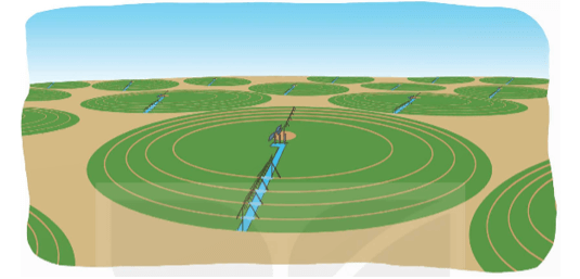 Bài 27: Đường tròn. Chu vi và diện tích hình tròn (trang 105)