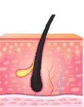 Nhân một số thập phân với một số tự nhiên