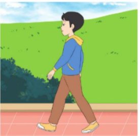 giải Toán lớp 5 trang 85 