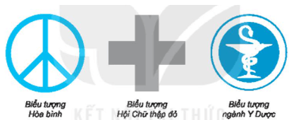 bài tập toán lớp 6 bài 21