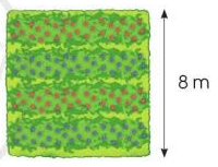 Toán lớp 3 trang 111, 112 Chu vi hình chữ nhật, chu vi hình vuông | Cánh diều