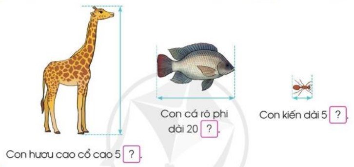 Bài 1 trang 13 Toán lớp 3 tập 1 Cánh Diều