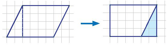 Hoạt động 1 trang 92 Toán 6 Tập 1 | Kết nối tri thức Giải Toán lớp 6