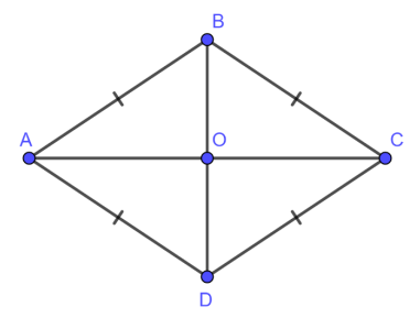 toán lớp 6 cánh diều trang 117