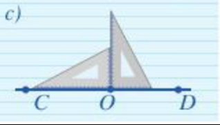 Hãy ghép mỗi khẳng định ở bên trái với một hình thích hợp ở bên phải (ảnh 1)