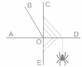 Vở bài tập Toán lớp 4 trang 124 Bài 2