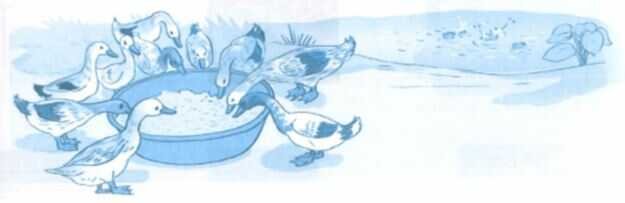 Vở bài tập Toán lớp 4 trang 73 Bài 2