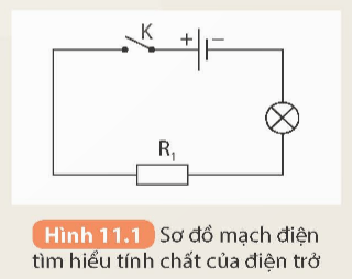 Khoa học tự nhiên 9 bài 11
