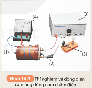 Khoa học tự nhiên 9 bài 14
