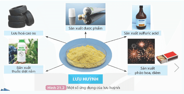 Khoa học tự nhiên 9 bài 21