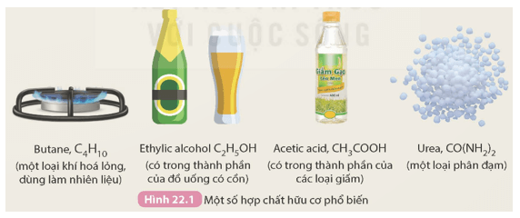 Khoa học tự nhiên 9 bài 22