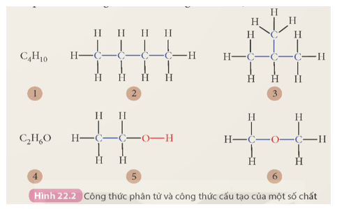 Khoa học tự nhiên 9 bài 22