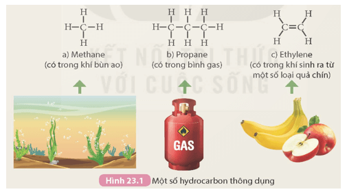 Khoa học tự nhiên 9 bài 23