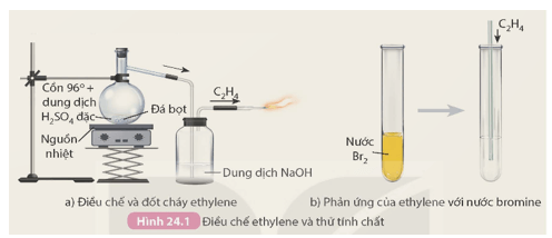Khoa học tự nhiên 9 bài 24: Alkene
