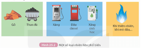 Khoa học tự nhiên 9 bài 25