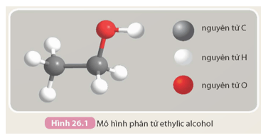 Khoa học tự nhiên 9 bài 26