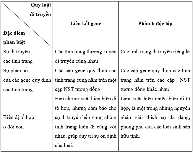 Khoa học tự nhiên 9 bài 45