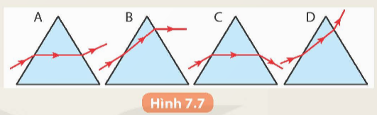 Khoa học tự nhiên 9 bài 7