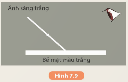 Khoa học tự nhiên 9 bài 7