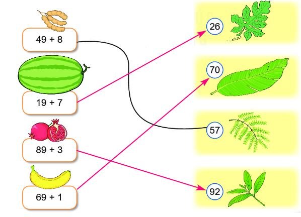 Toán 2 tập 1 bài 19
