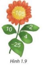 Toán 7 tập 1 trang 13